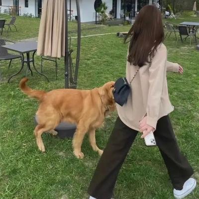 妙房东与俏房客