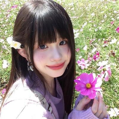 吉娃娃